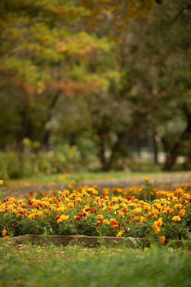 Photograph by Марина Комина