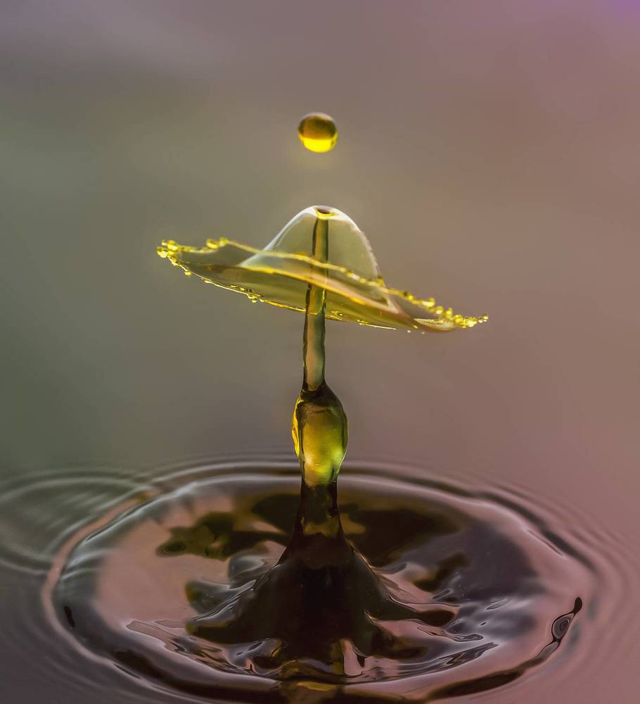 Photograph by Армашов-Тельник Григорий