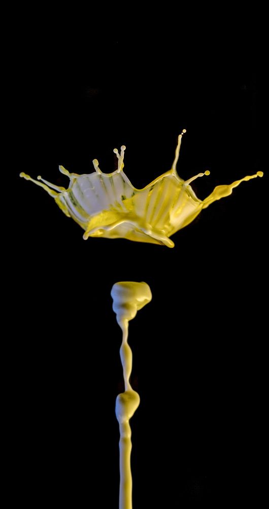 Photograph by Армашов-Тельник Григорий