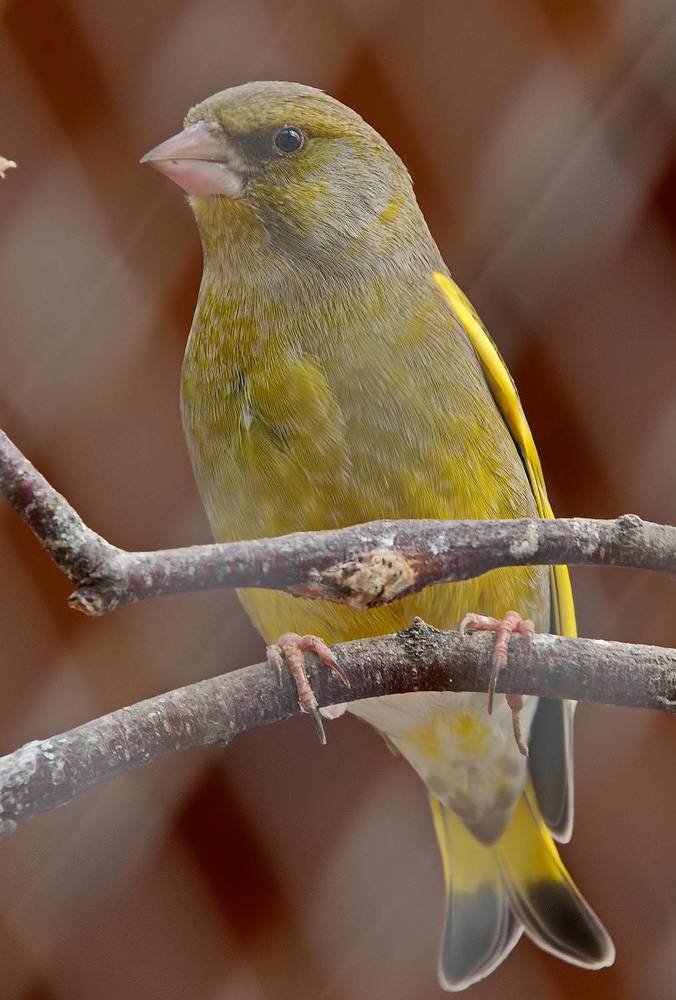 Photograph by Александр