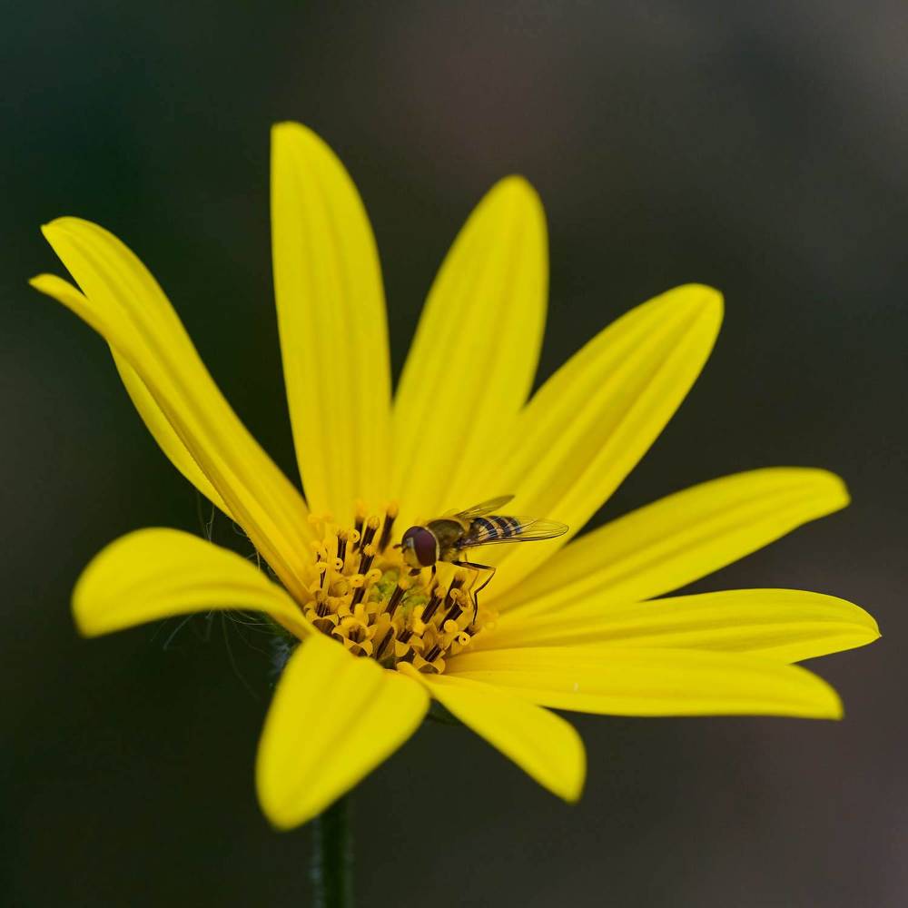 Photograph by Дмитрий Солодухин