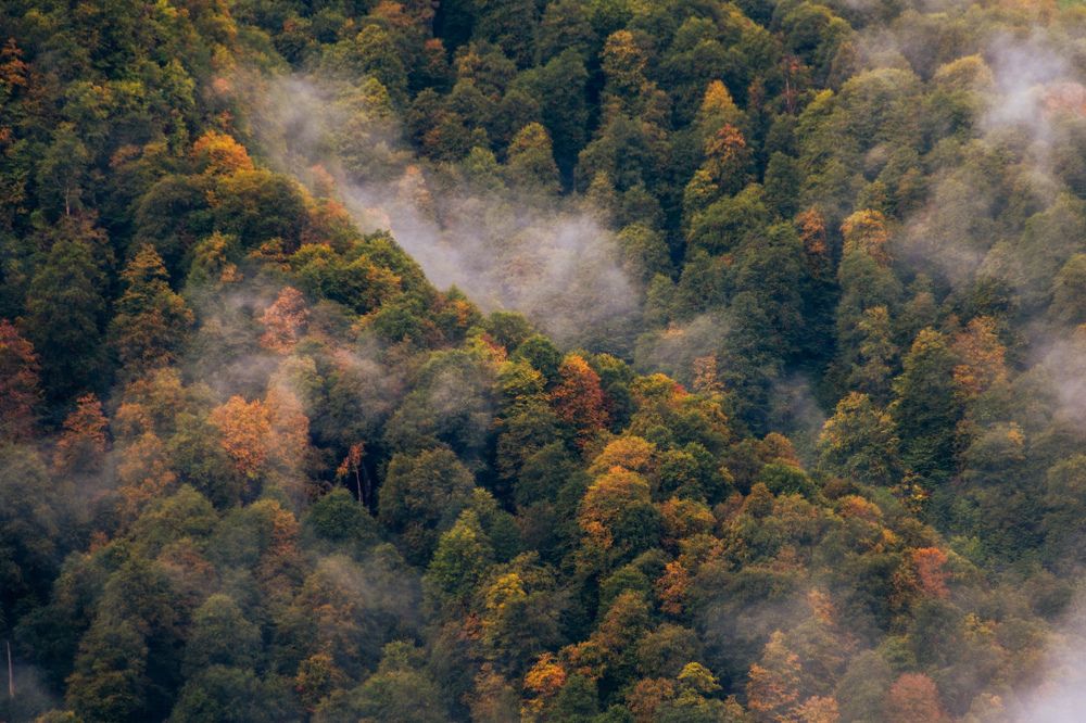 Photograph by Дулова Анастасия