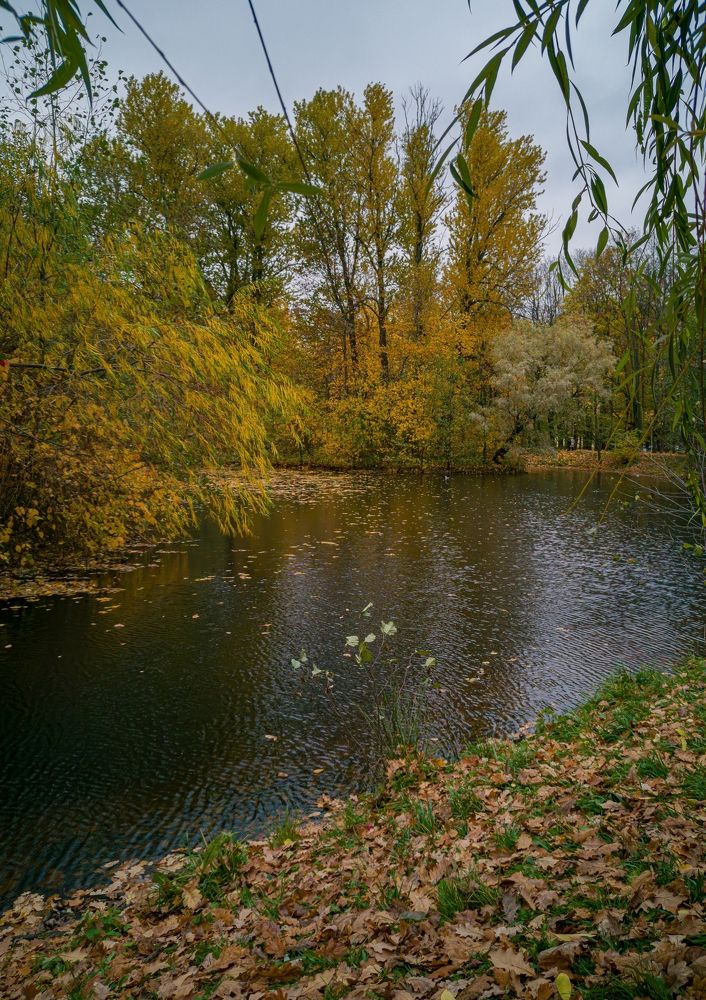 Photograph by Виктория Федосеенко