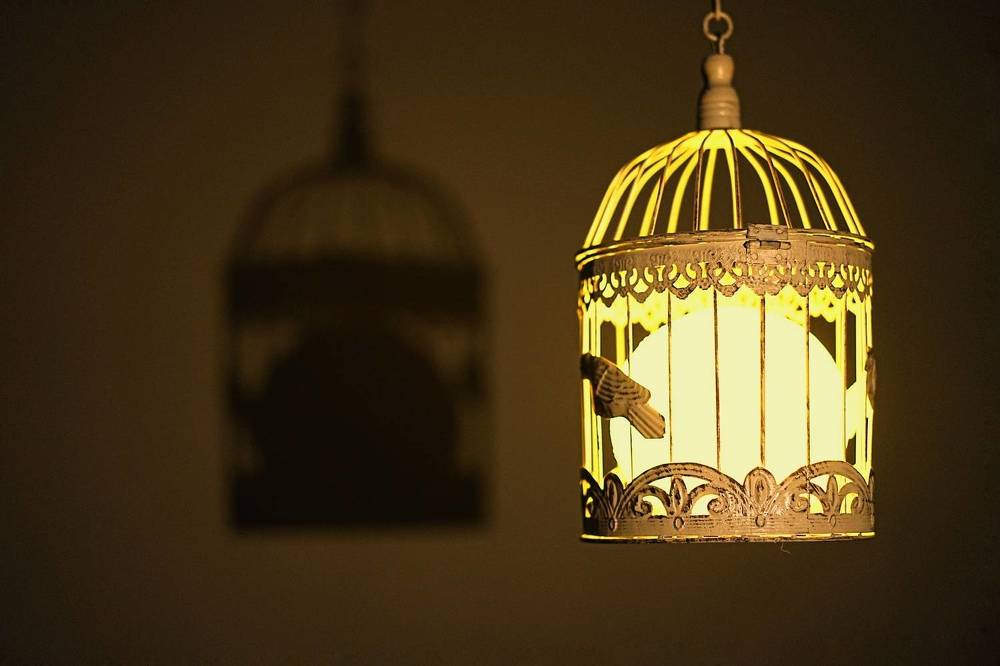 Photograph by Олеся Зеленщикова