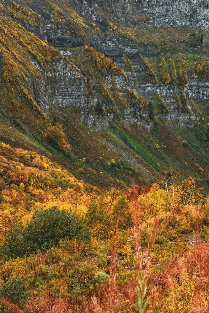 Photograph by Дулова Анастасия