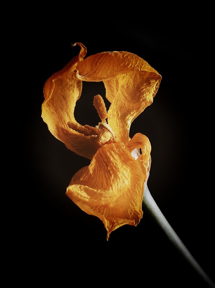 Photograph by Светлана Холодова