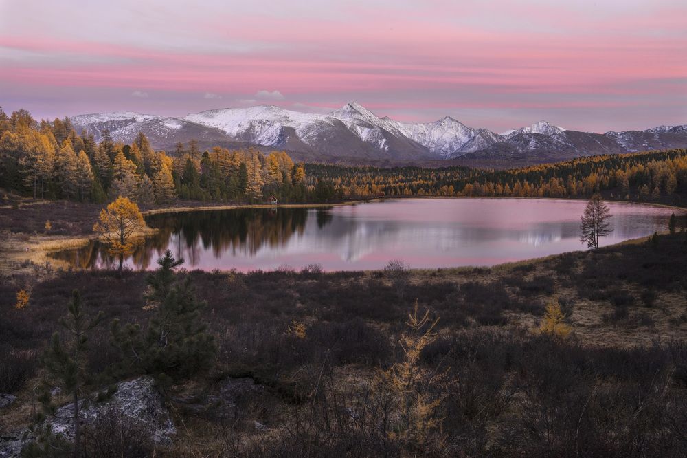 Фотография автора Галина