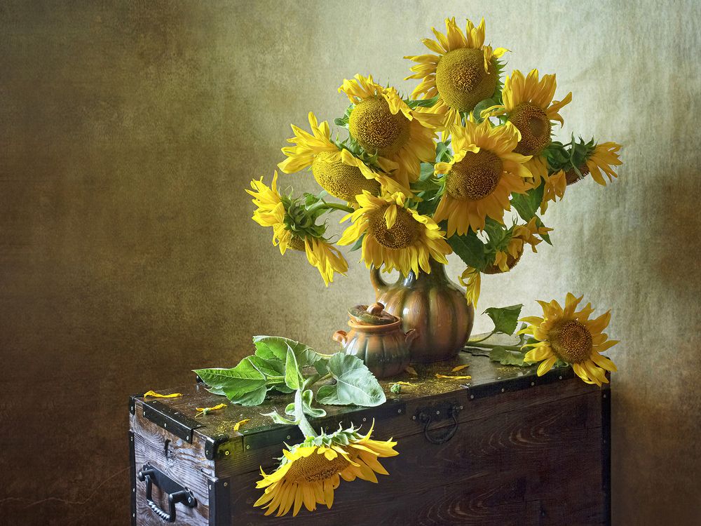 Photograph by Миронова Мила