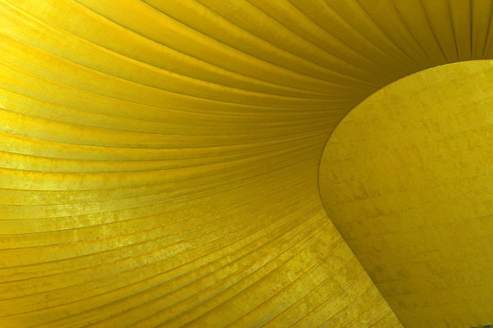 Photograph by Надежда Пухова