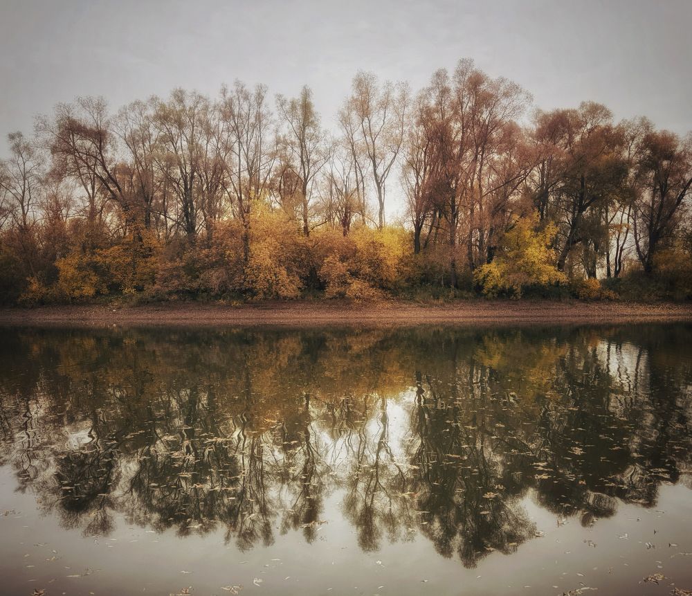 Photograph by Кира Бахвалова