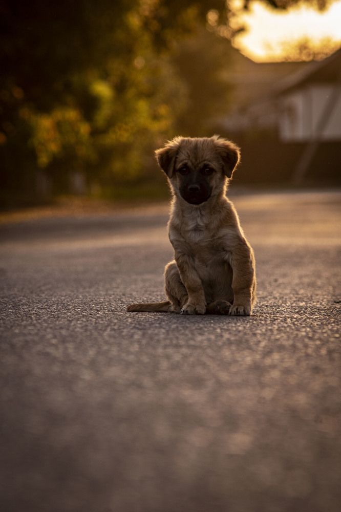 Photograph by Крупченко Роман