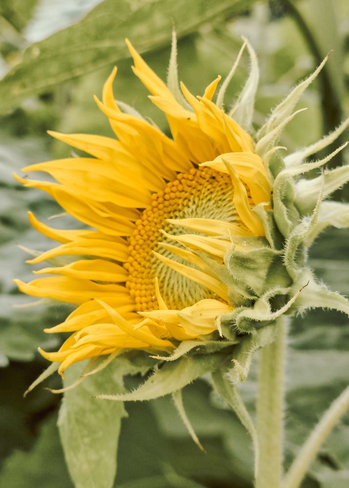 Photograph by Лариса Толкачёва