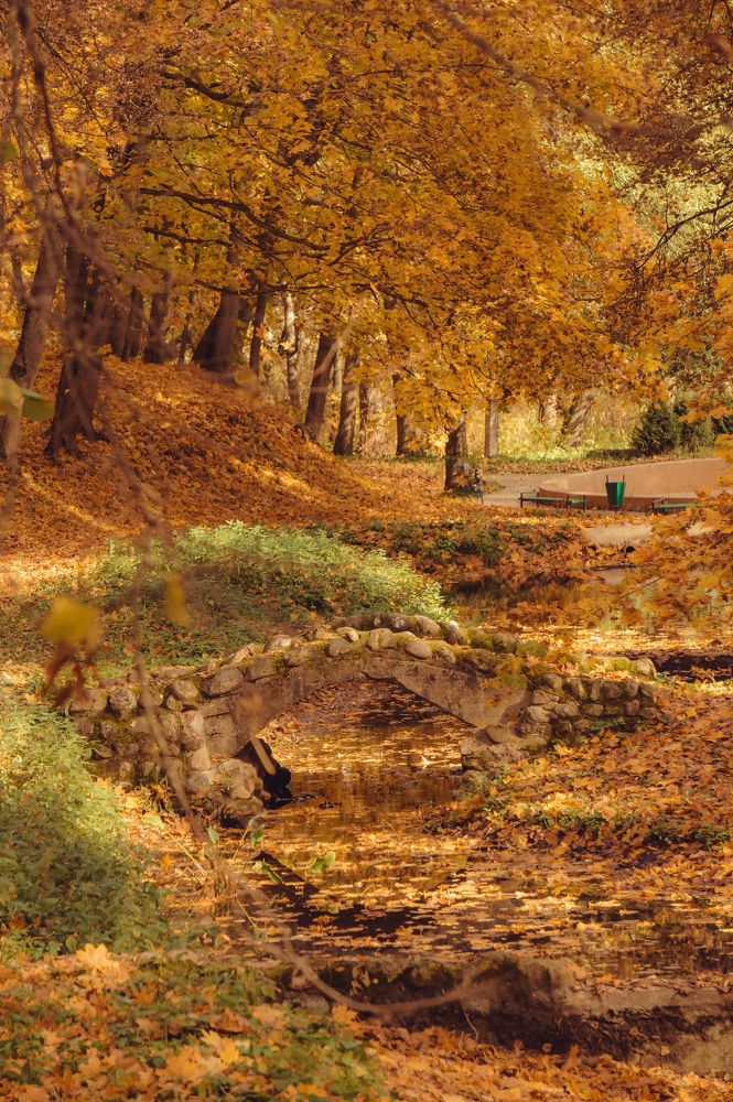 Фотография автора Максим Светличный