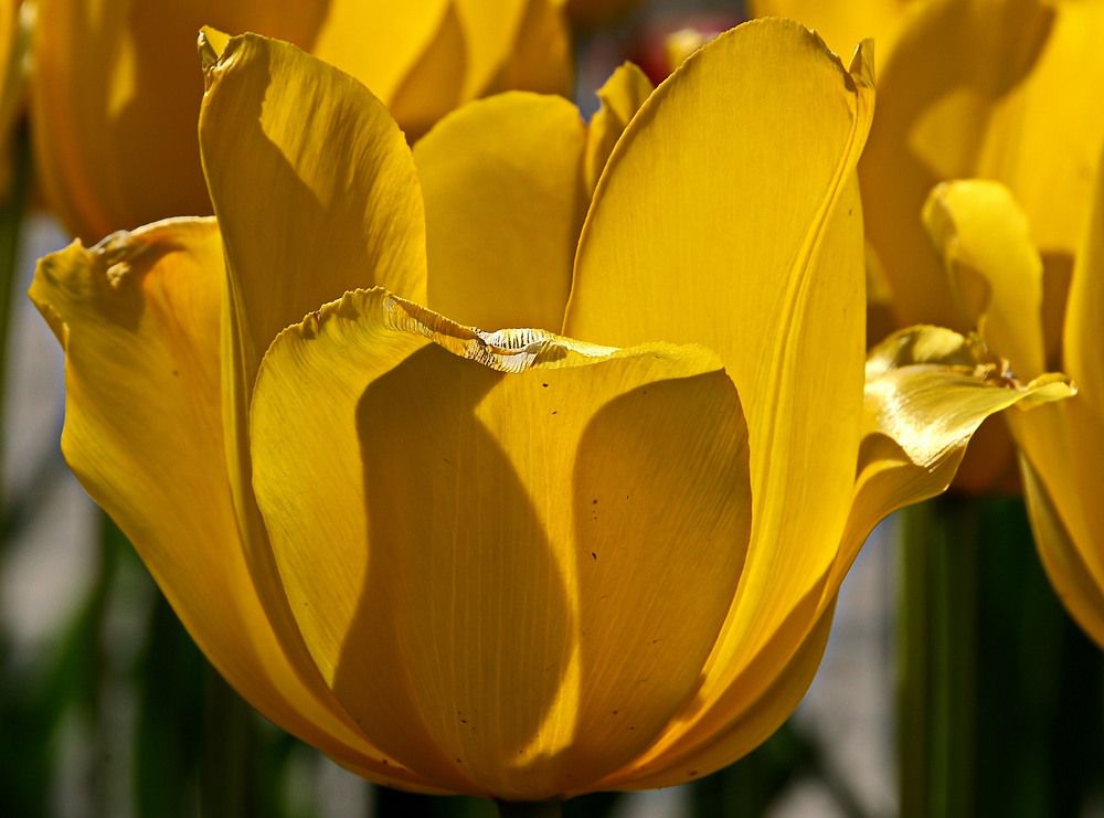 Photograph by Александр