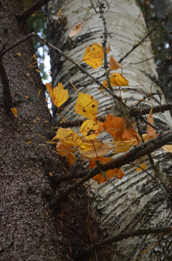 Photograph by Valentina