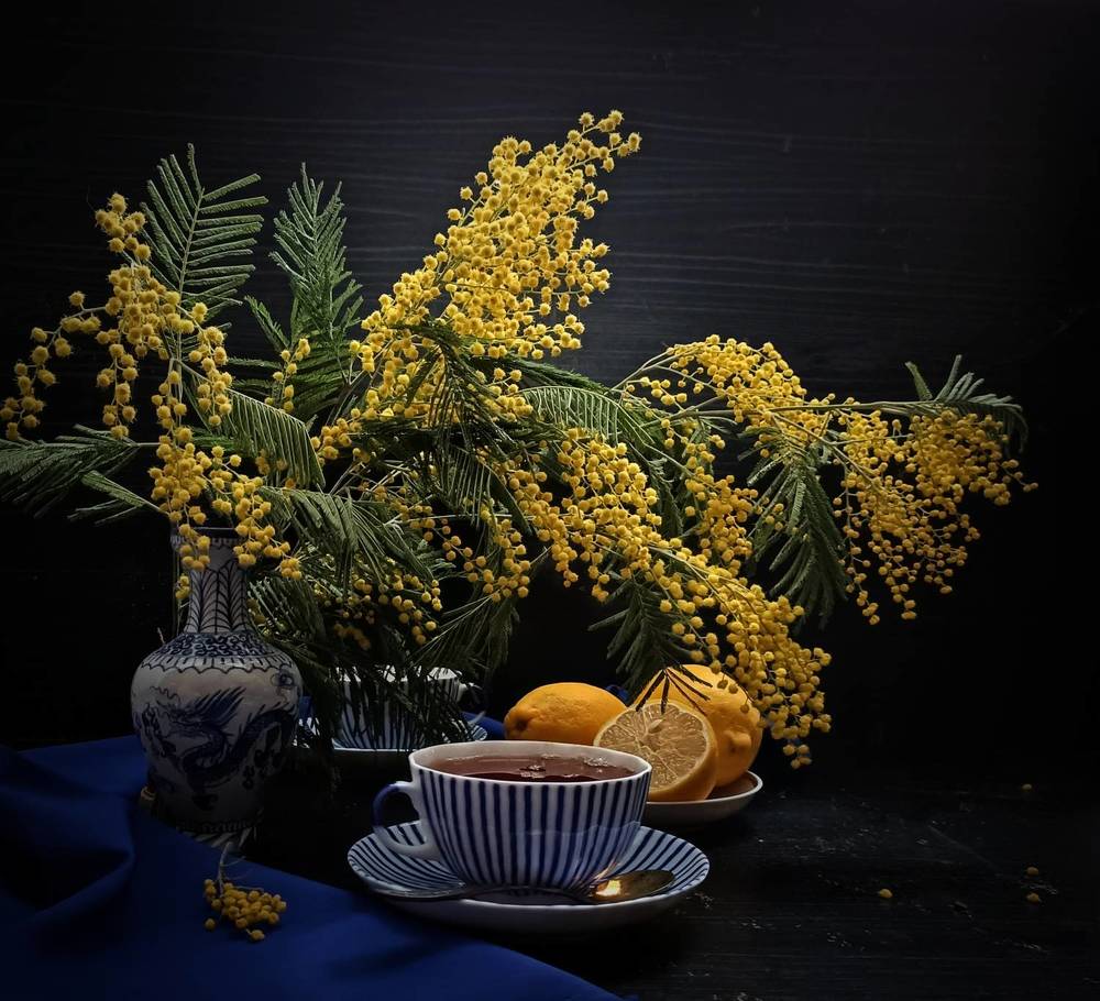 Фотография автора Татьяна Лука