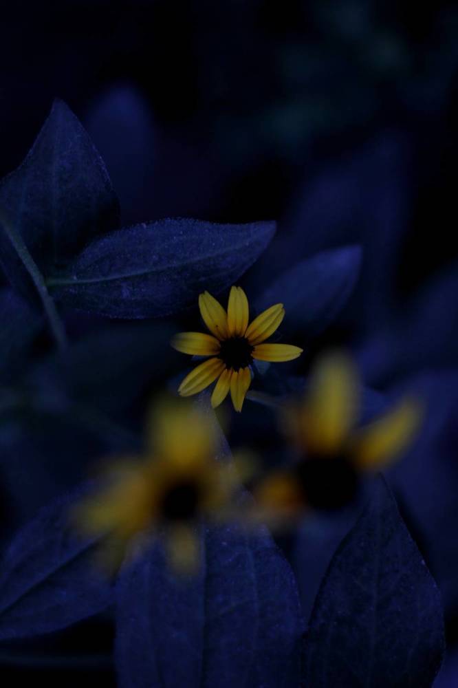 Photograph by Anastasiya Danilova