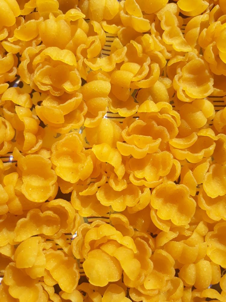 Photograph by Svitlana Usatenko