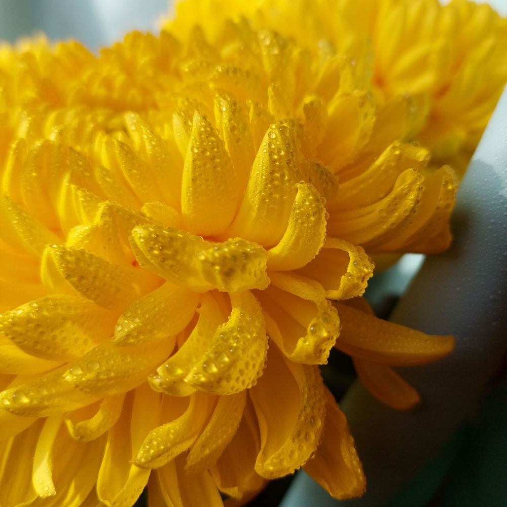 Photograph by Svitlana Usatenko