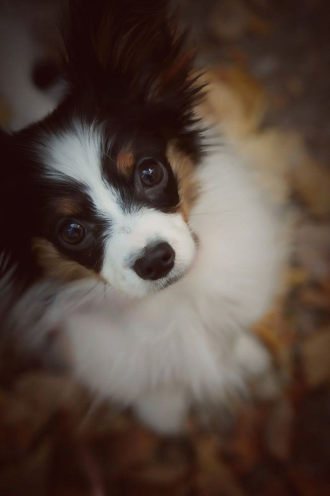 Photograph by Татьяна Федченко