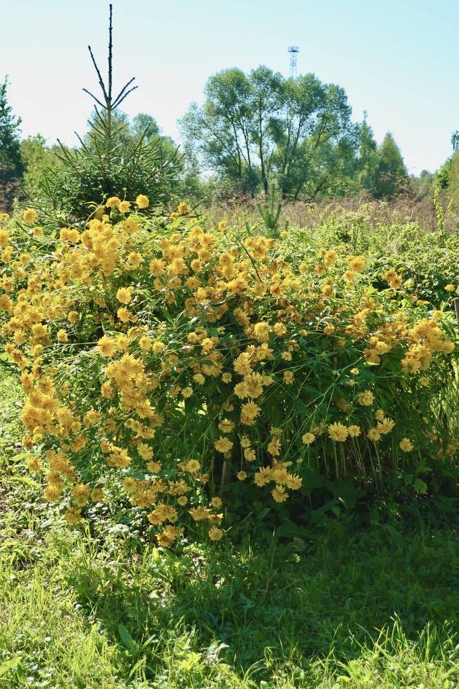 Photograph by Надежда Ткаченко