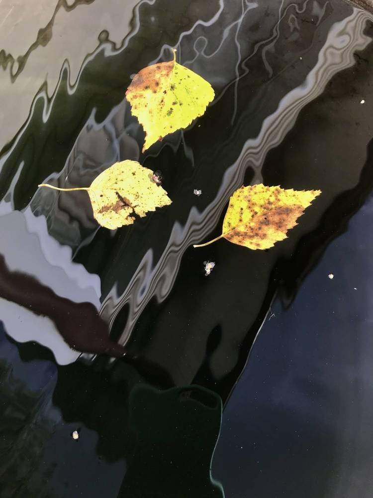 Photograph by Надежда Ткаченко