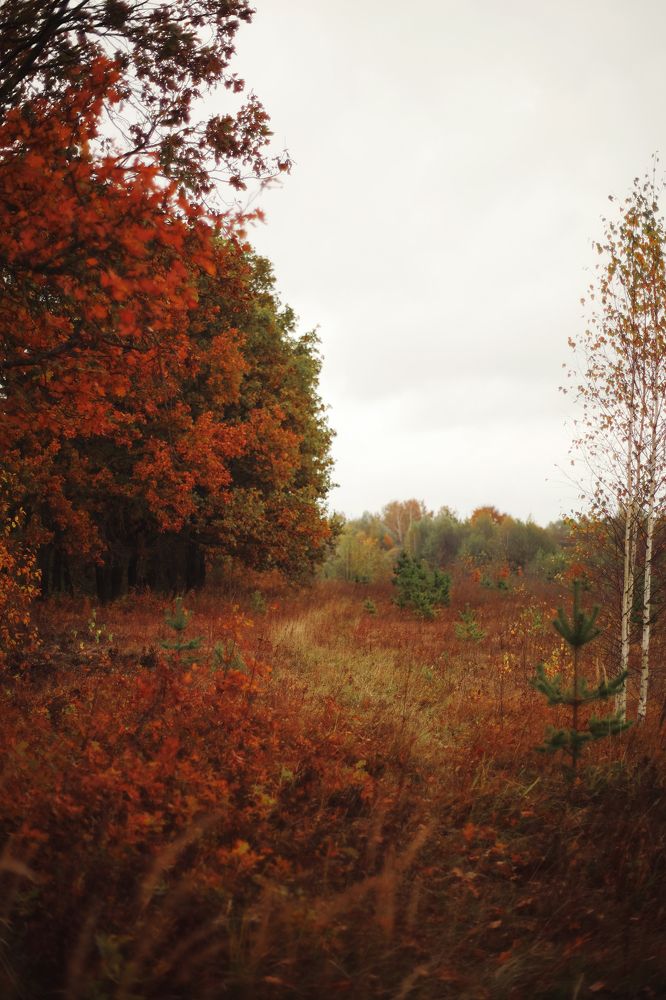 Photograph by Angelina Karelina