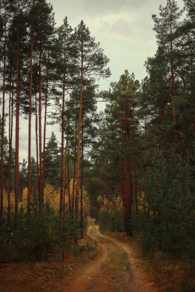 Photograph by Angelina Karelina