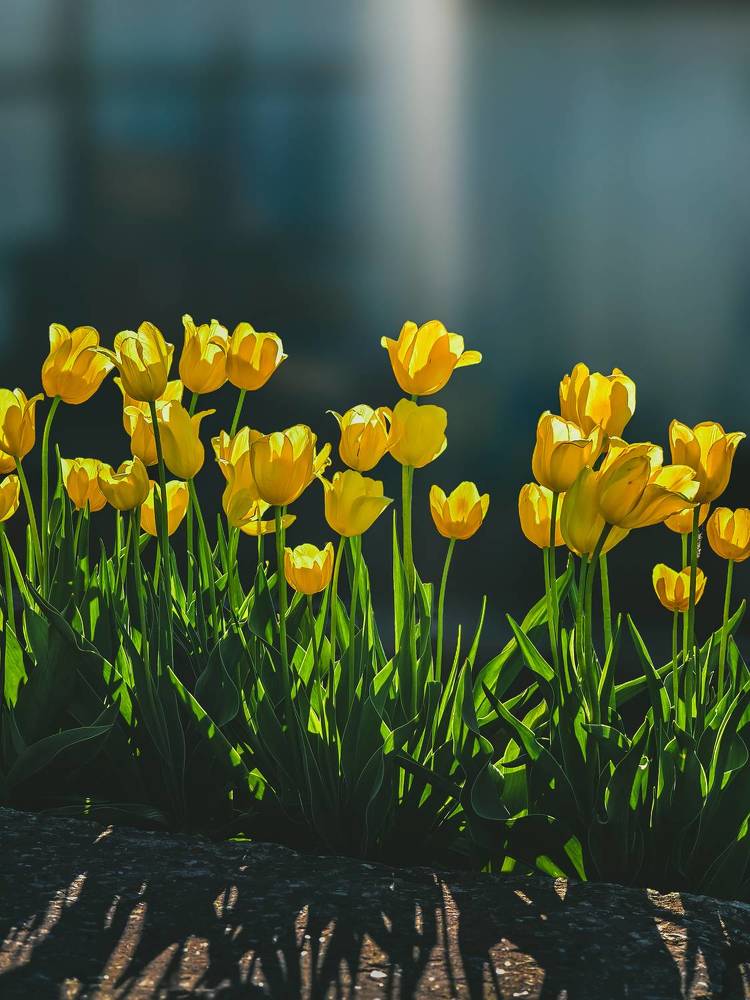 Фотография автора Владислав Белоус