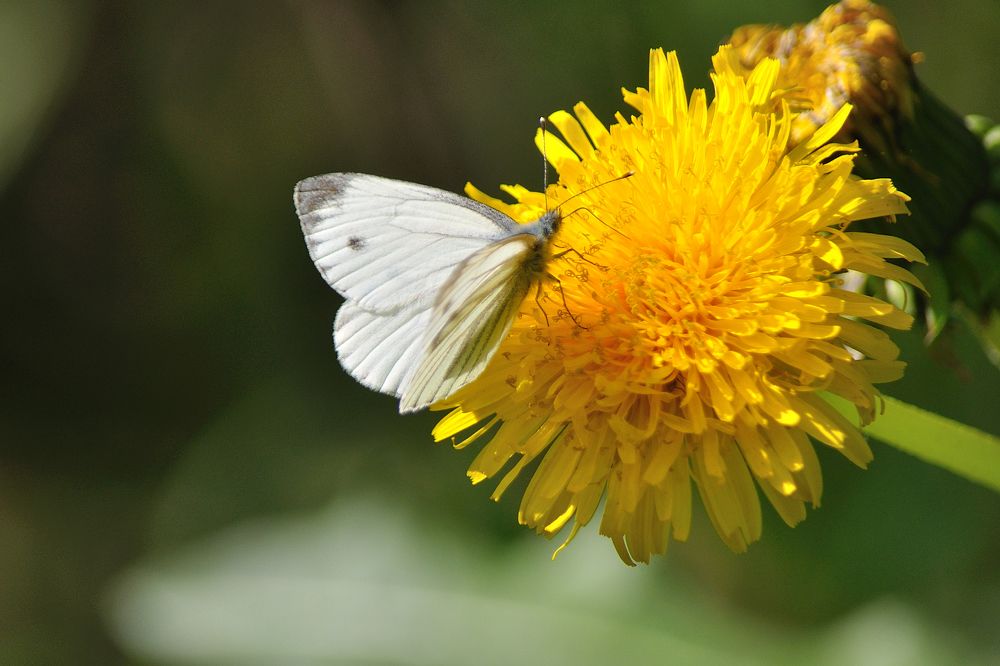 Photograph by Игорь Овсиенко