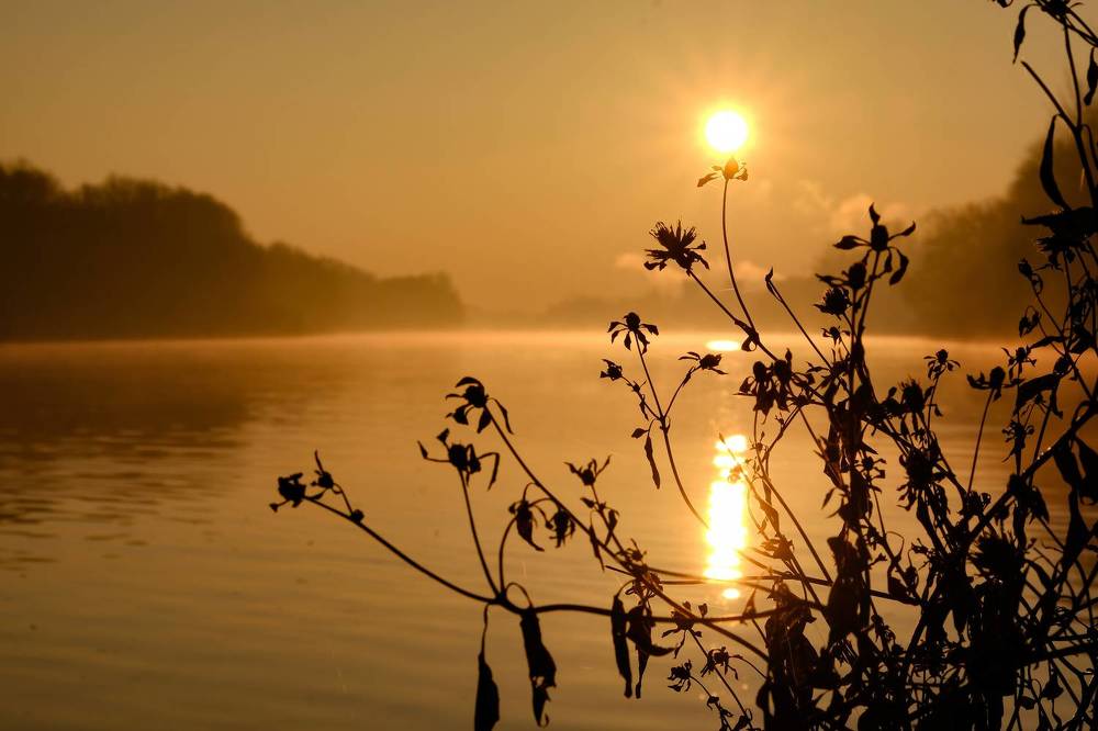 Фотография автора Александр Высоцкий
