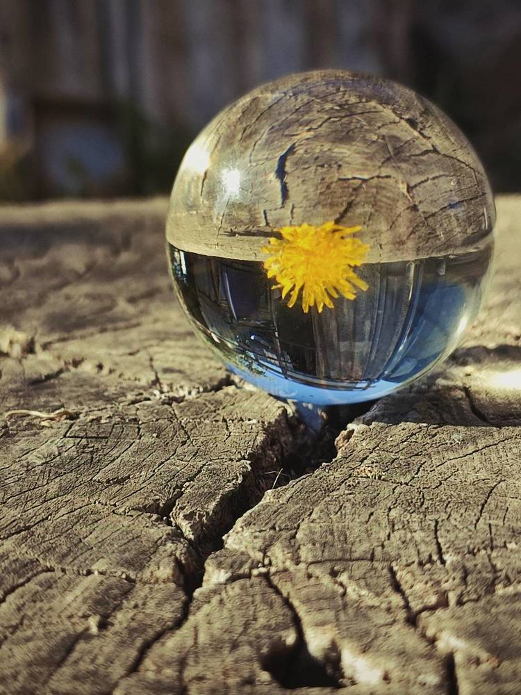 Photograph by ТАТЬЯНА/-+/-я ДОЛГУШЕВА