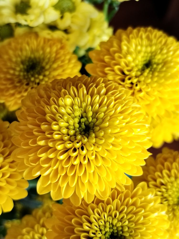 Photograph by Юлия Ю.