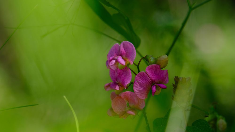 Photograph by Александр Елизаров
