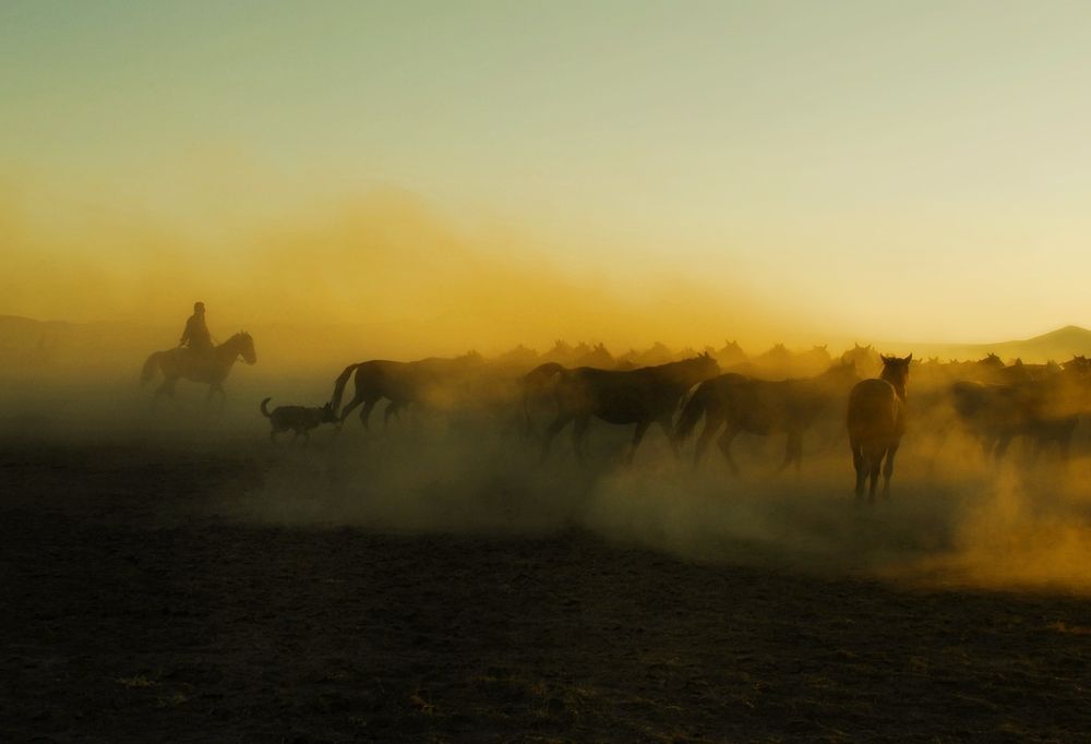 Photograph by Süleyman Ülker