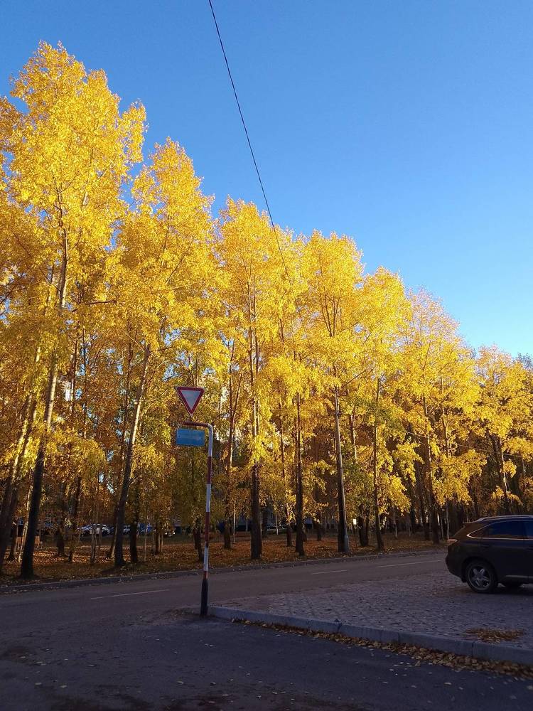 Фотография автора Светлана