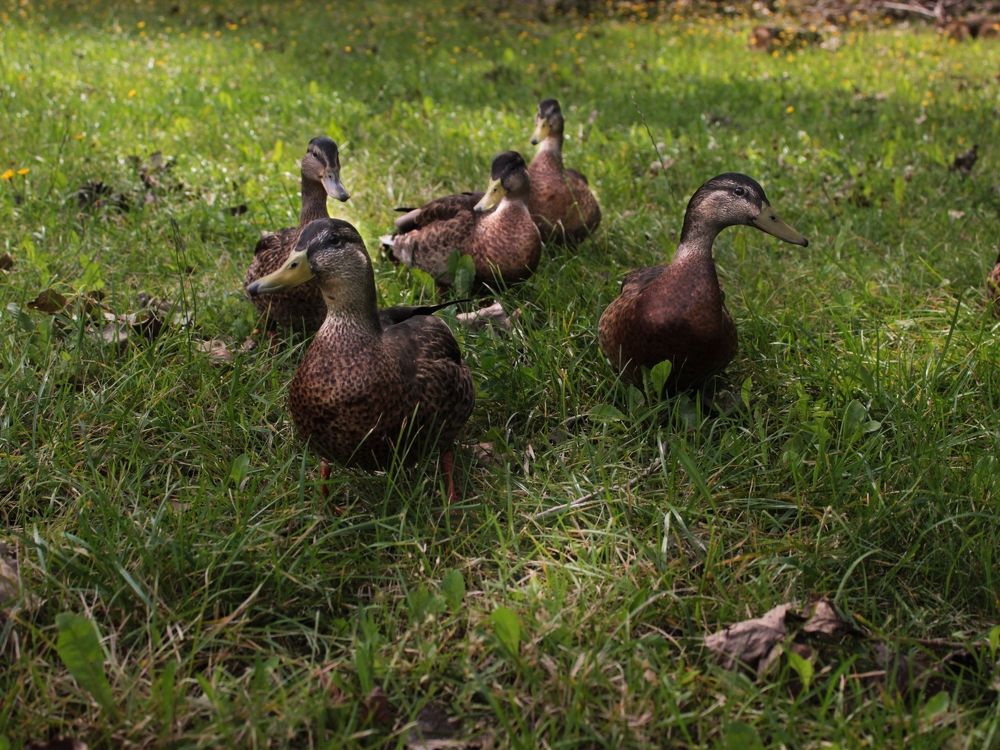 Photograph by Iryna Shyshkina