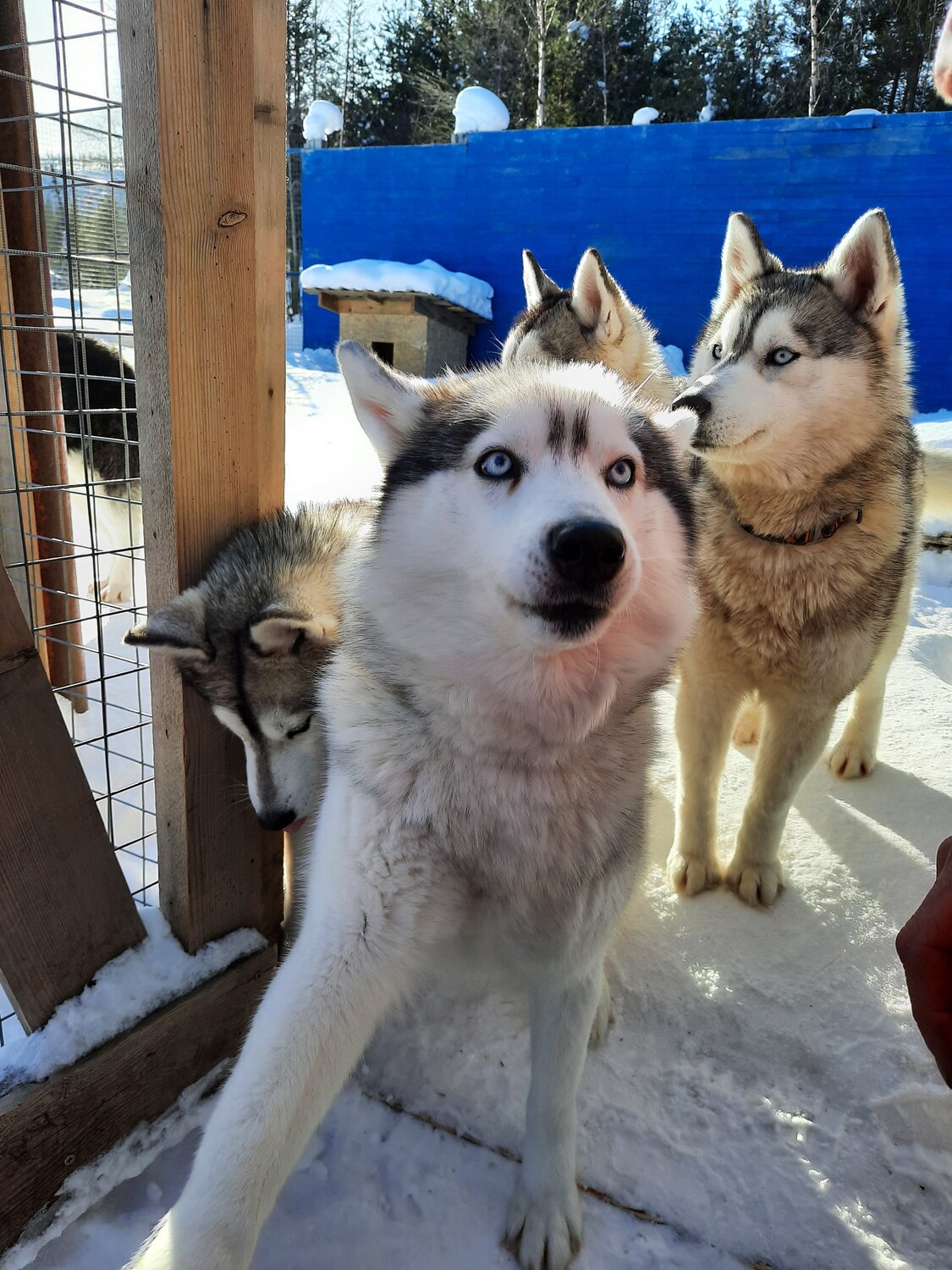 Photo #11128272