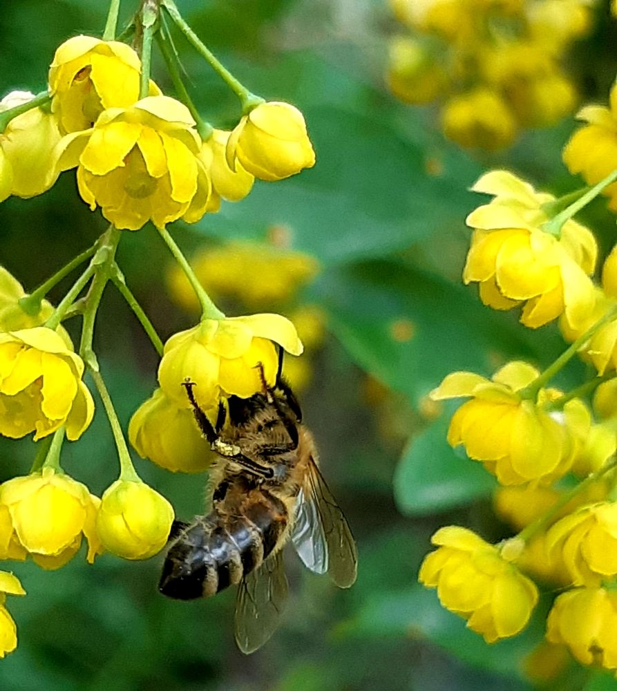 Photograph by Olga Александрова