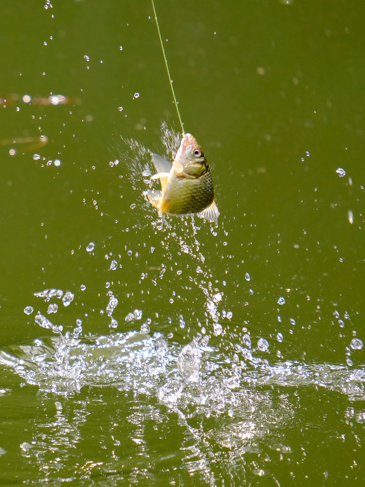 Photograph by Александр Елизаров