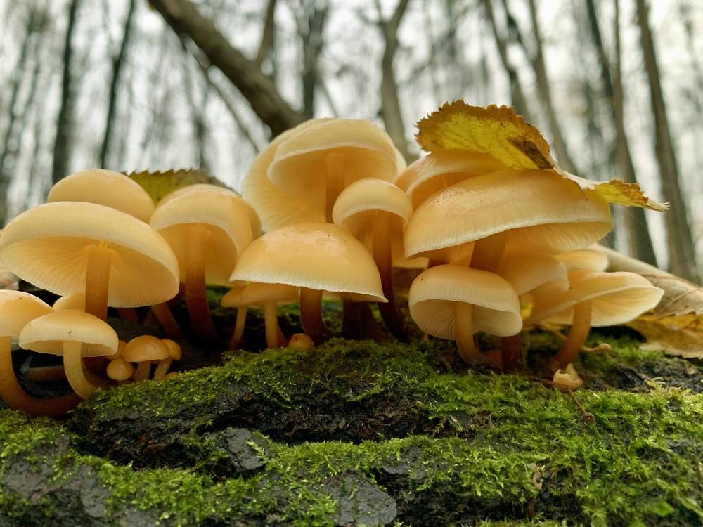 Photograph by Ионова Татьяна