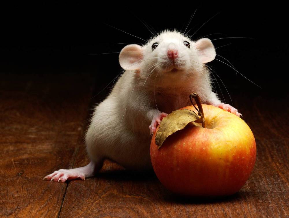 Photograph by Igor Sakharov