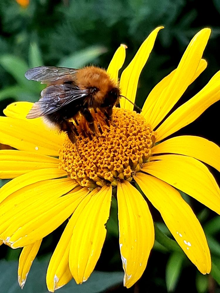 Photograph by Olga Александрова