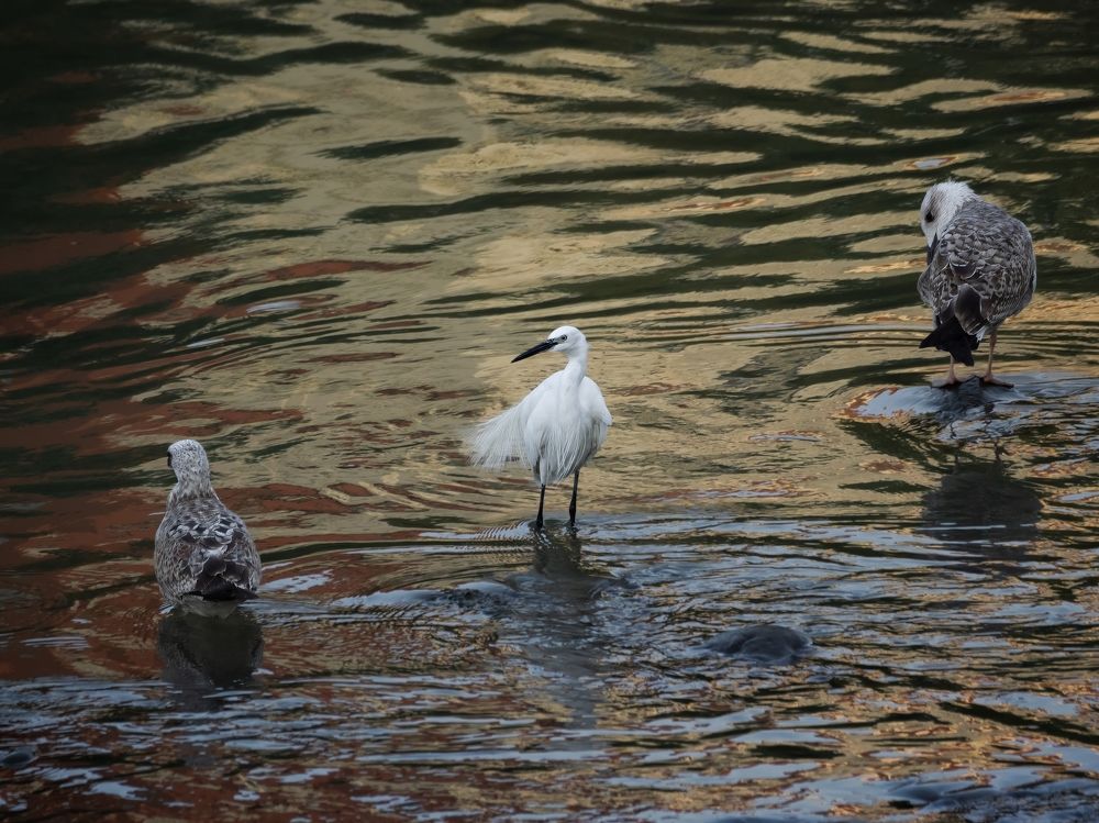 Photograph by Genadi Yakovlev