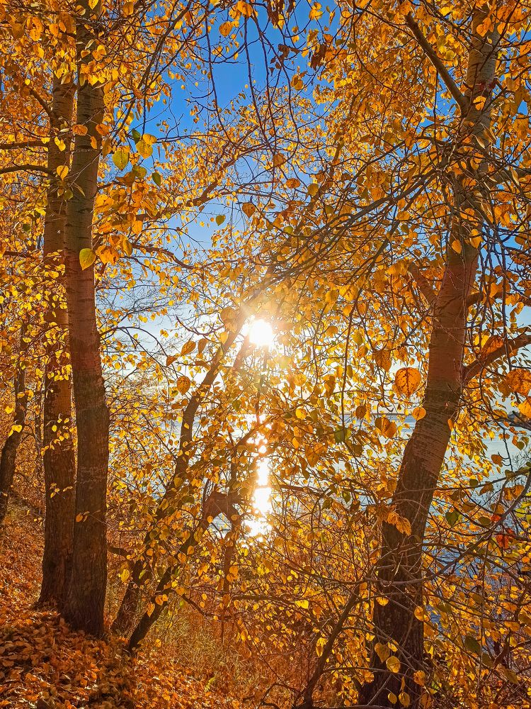 Photograph by Ольга Ситникова