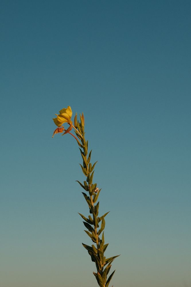 Photograph by Maxim Lip