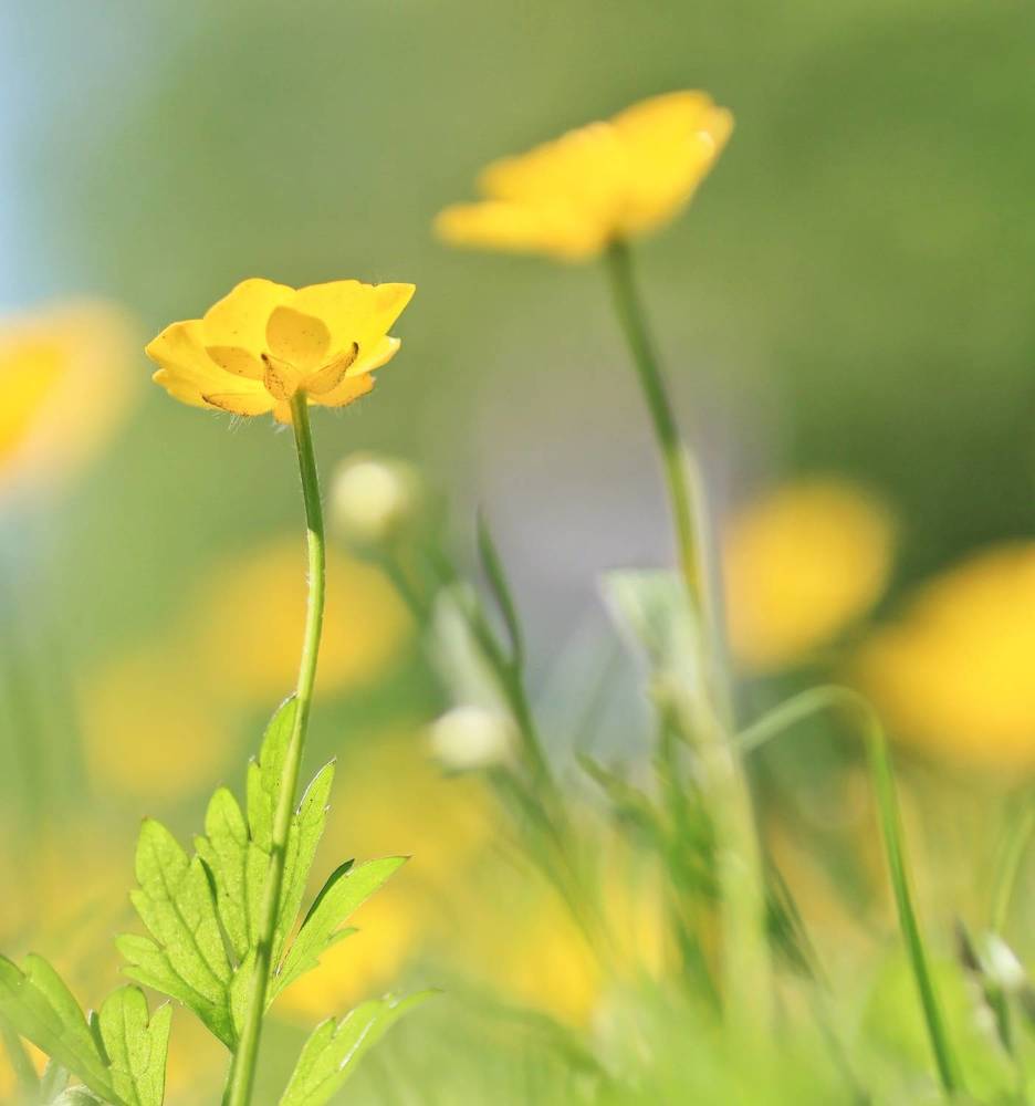 Photograph by Olga Asson