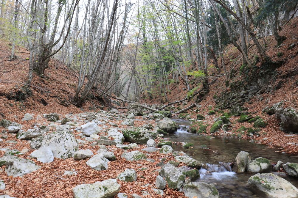 Photograph by Иван Скрипкин