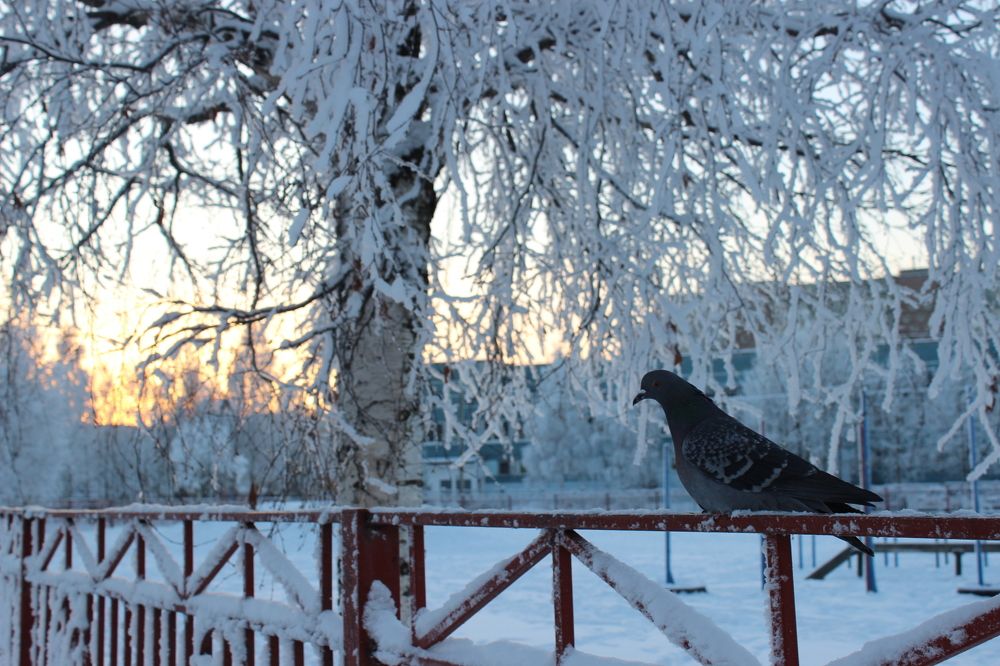 Photograph by Ольга Ситникова