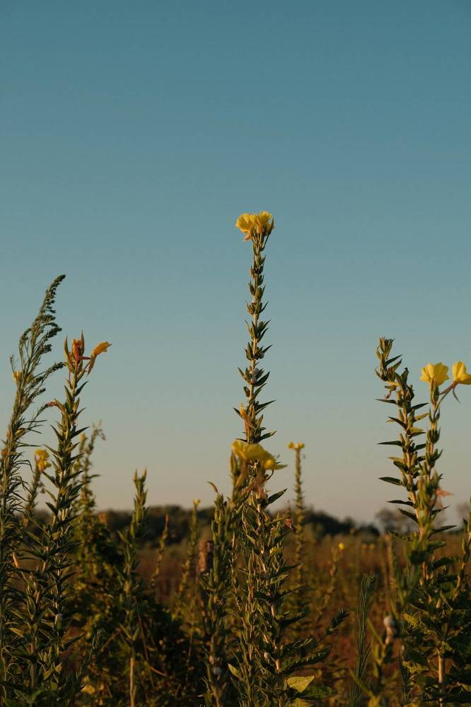 Photograph by Maxim Lip